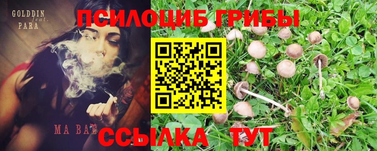 Галлюциногенные грибы мицелий Сатка