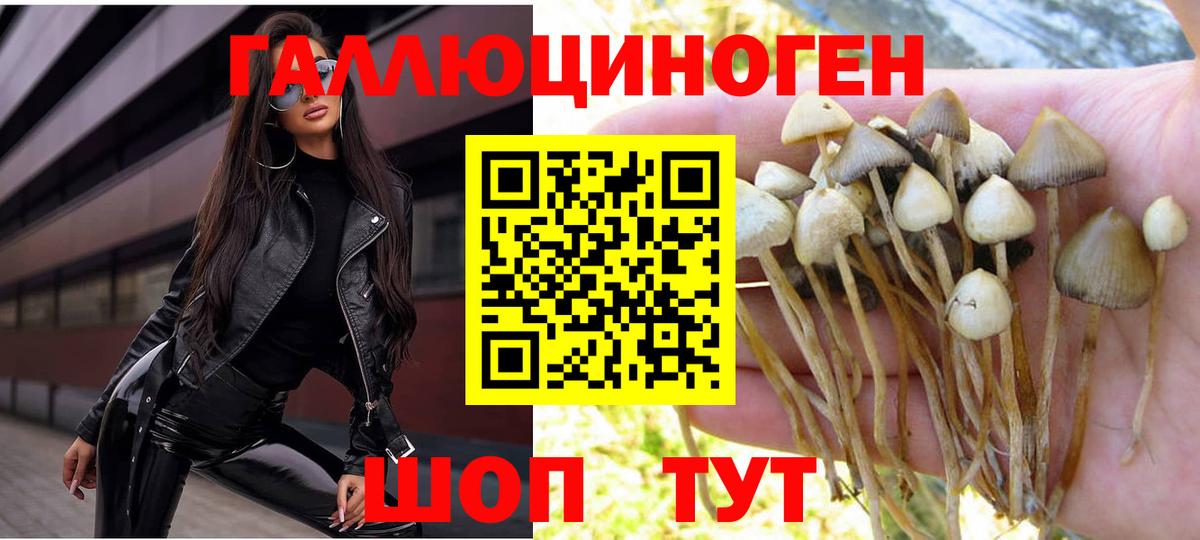 Галлюциногенные грибы Cubensis  Галлюциногенные грибы Psilocybine cubensis  Сатка  Вход с VPN 
